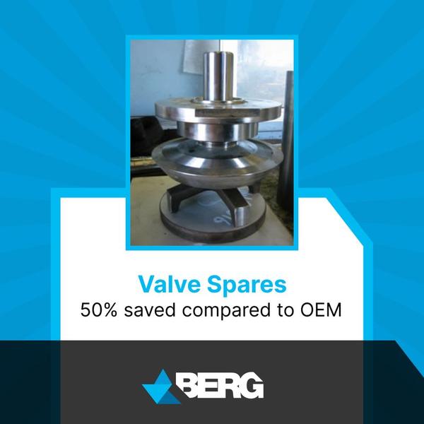 Berg Valve Spares